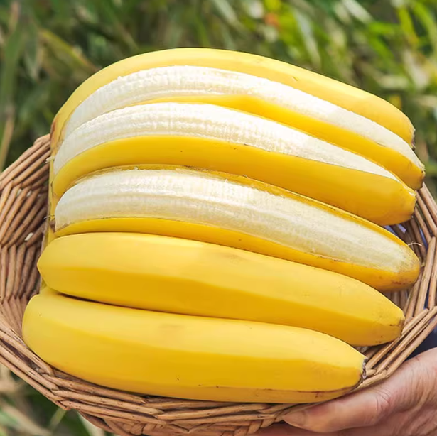 广西高山香蕉新鲜水果一级甜，5指中果(19-21cm)